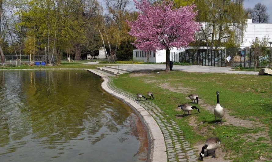 Le paysage naturel de Nuremberg : de magnifiques parcs et itinéraires d’activités recommandés